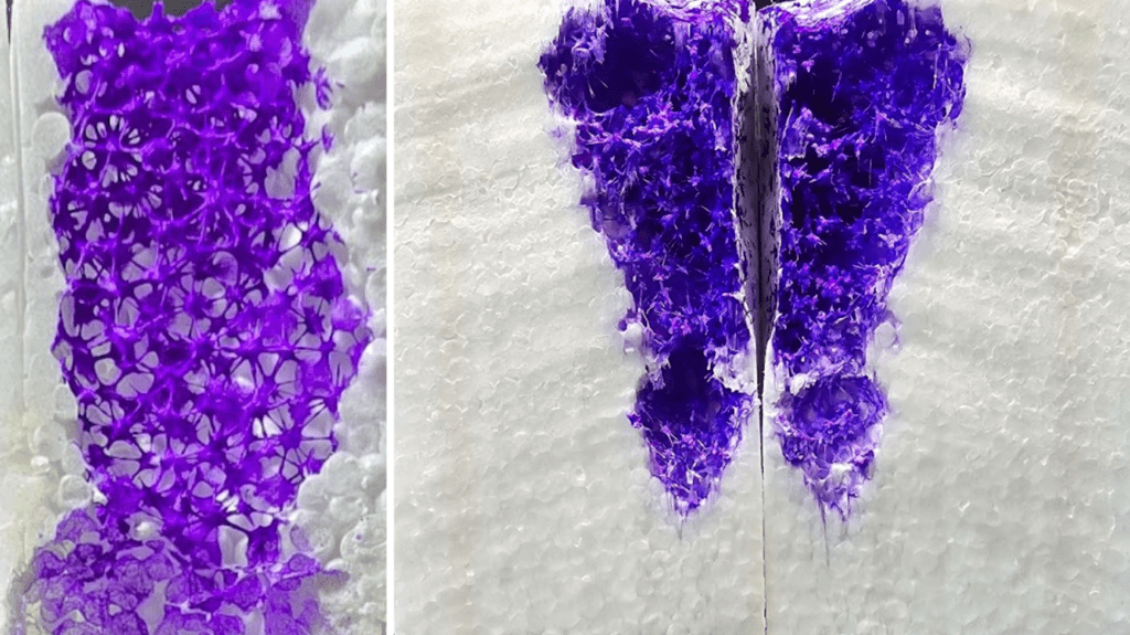 Purple Pattern in Foam